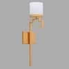 Corvina Single Light Metal and Glass Wall Light