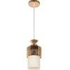 Eliante Modern Hanging Lights Mild Steel & Glass Material Gold & White Finish