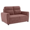 Alvaro Velvet 2 Seater Sofa Pink Color