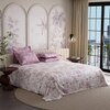 Stoa Paris Super King Size Cotton Bedsheet with 4 Pillow Covers  Size Blushwood Pink