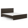 Wren Engineered Wood Queen Size Bed In Dark Wenge Finish