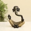 Pitambara Polyresin Figurine in Matte Black Colour