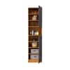 Hexa Red Wooden 2 Door Wardrobe with Hanging Space in Giant Wood and Slate Grey Colour