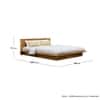 Hexa Engineered Wood Modern King Bed With Headboard Without Storage In Giant Wood