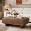 Olen Solid Wood Rectangular Storage Coffee Table In Amber Walnut Finish
