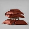Stoa Paris Super King Size Bedsheet with 4 Pillow Covers  Size Melted Caramel