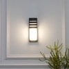 Pozza Grey Outdoor Led Wall Light