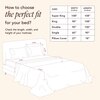 Stoa Paris Double Bedsheet with 2 Pillow Covers sheet with Cha Champagne
