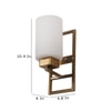 Eliante Modern Wall Lights Glass, Mild Steel & Glass Material Antique & White Finish