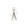 Drago Gold Iron Shade Floor Lamp