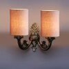 Devansh Metal Electric Wall Light in Antique Gold Colour with Grey Shade Count of 2 Lights
