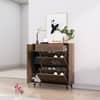 Hexa Red Engineered Wood Shoe Rack in Flower Wenge Colour