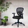 Aaeroa Low Back Ergonomic Chair in Black Colour