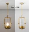JUNIT Clear Glass and Brass Finish Metal Hanging Pendant Light