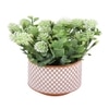 White Artificial Bonsai Plant With Ceramic Pot