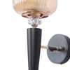 Eliante Mashal Wall Lights Mild Steel & Glass Material Brown & Clear Finish