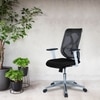 Wiwngas Mid Back Ergonomic Chair in Black Colour