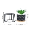 Highly Attractive Succulent Plant With A Geometric Patterned Ceramic Pot In A Stand