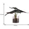 Transparent Glass Planter With Artificial Spotted Begonia Plant
