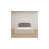 Pingala Engineered Wood Queen Size Bed In White Finish