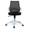 Xeanea Mid Back Ergonomic Chair in Black Colour