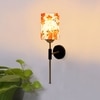 Devansh Metal Electric Wall Light in Black Colour with Multi Shade Count of 1 Light