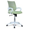 Naamikoa Mid Back Ergonomic Chair in Pearl Green Colour