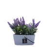 White 1 Pieces Hanging Lavender Artificial Plant With Pot