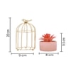 Succulent Plant In Ceramic Pot With Attractive Bird Cage