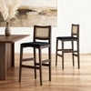 Weber Solid Wood Bar Stool (Danish Walnut Finish, Deep Blue Colour)