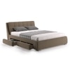 Stanhope Engineered Wood Queen Size Drawer Storage Upholstered Bed In Finish
