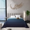 Stoa Paris Comforter for King Size Bed, 300 TC Ultra Satin Fabric  Blue Teal