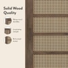 Fujiwara 20 Pair Solid Wood and Cane Shoe Cabinet With Drawer In Danish Walnut Finish