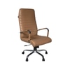 Adiko Sleek Executive Office Chair In Beige