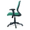 Ebeaony Mid Back Ergonomic Chair in Dark Green Colour