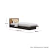 Hexa Engineered Wood Modern Single Bed With Headboard Without Storage In Slate Grey And Giant Wood