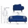Pacific 3 Seater Sofa Cum Bed In Blue Colour