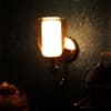 Eliante Bay Iron Wall Light With Glass In Gold Colour