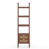 Strava Solid Wood and Cane Bookshelf with in Honey Finish
