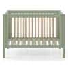 Brent Solid Wood Crib in Colour