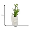 Artificial Green Oasis Plant With White Face Planter