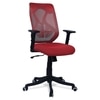 Zeeazyana Mid Back Ergonomic Chair in Red Colour