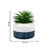 Pristine And Awe-Struck Indoor Faux Plant With Dual Shade Ceramic Pot