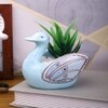 Fern Plant Inside An Artistic Blue Swan Ceramic Pot