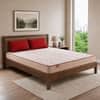 Kurlon Ortho Plus Latex Medium Firm Double Orthopedic Mattress 78x48x8 Inch