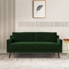 Reiti Velvet 2 Seater Sofa in Green Colour