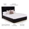Opus Engineered Wood King  Size Bed With Hydraulic Storage (Walnut Brown Finish)