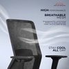 Veritas Mid Back Mesh Office Chair in Black Colour