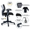 Odrione Low Back Ergonomic Chair in Black Colour