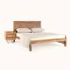 Metric Solid Wood King Non Storage Bed in Brown Colour